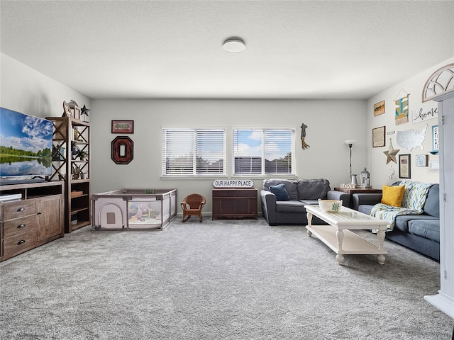 carpeted living room featuring a textured ceiling