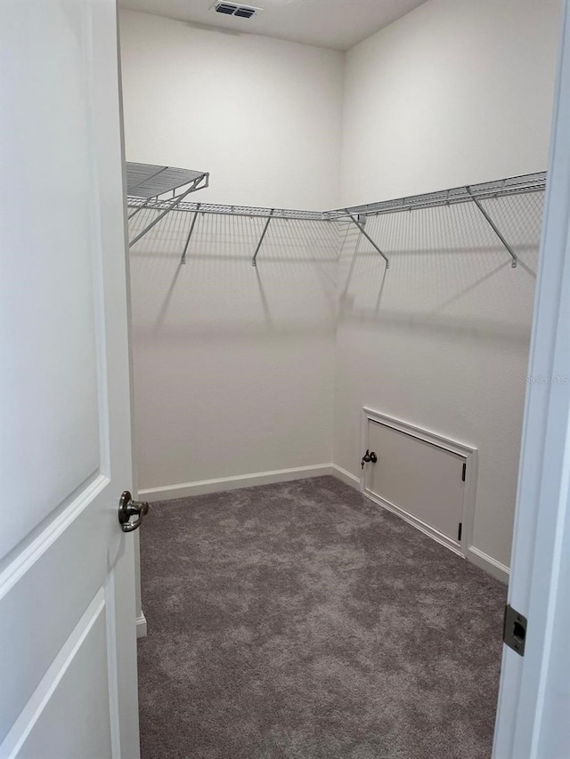 spacious closet with dark colored carpet