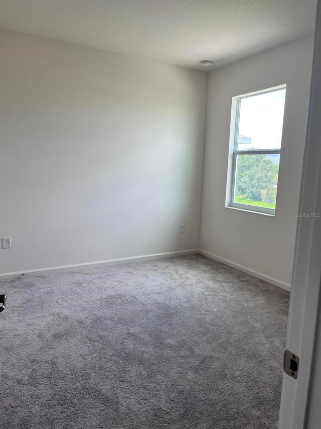 spare room featuring carpet flooring