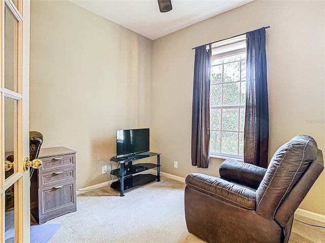 sitting room with light carpet