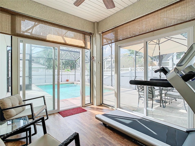 doorway featuring wood ceiling, wood-type flooring, and ceiling fan