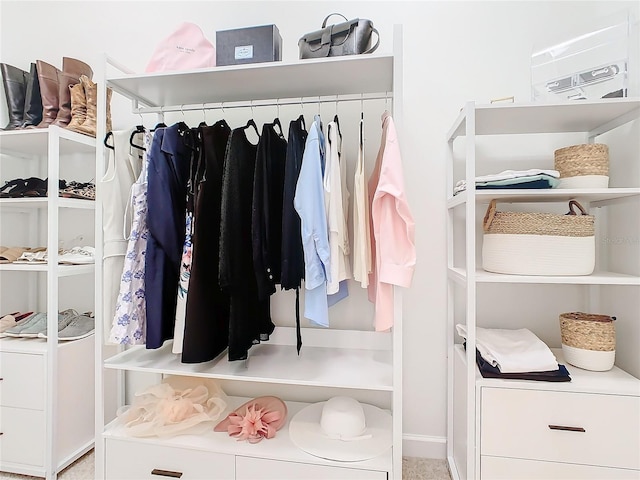 8920 Dove Valley Way, Davenport, FL 33896 - view of spacious closet