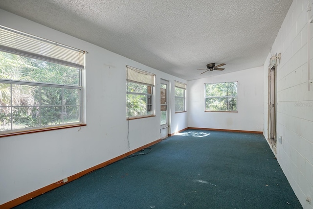 spare room with a textured ceiling, carpet flooring, and a wealth of natural light