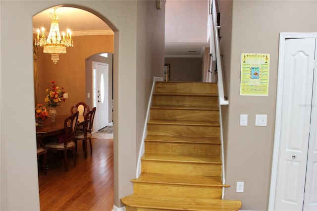 stairs featuring ornamental molding and hardwood / wood-style floors