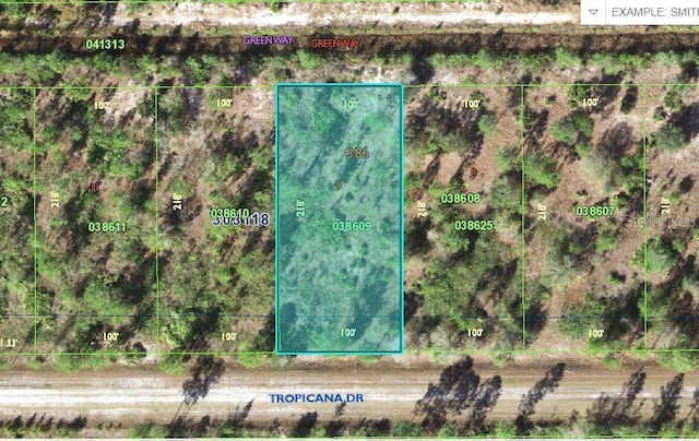 518 Tropicana Dr, Indian Lake Estates FL, 33855 land for sale