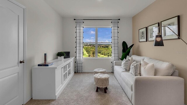 living room with light colored carpet