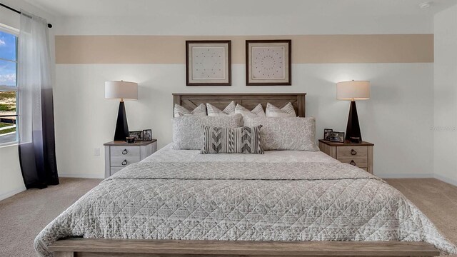 view of carpeted bedroom