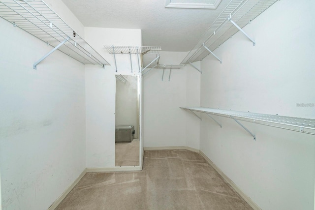 walk in closet featuring light colored carpet