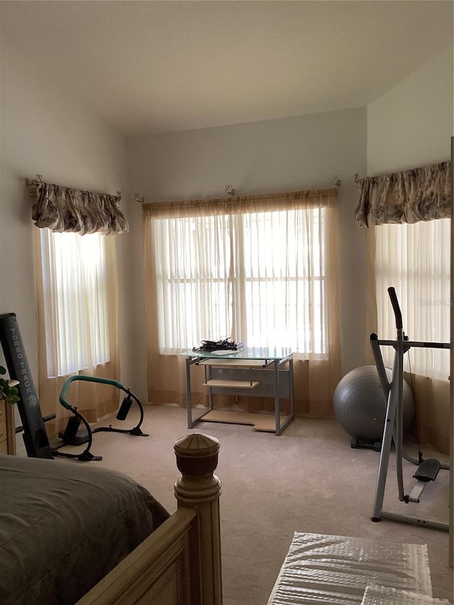 2717 Bayview Dr, Eustis, FL 32726 - carpeted bedroom featuring multiple windows
