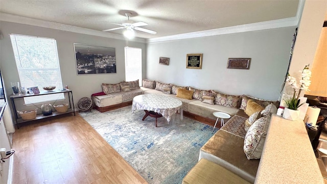 living room with ceiling fan, hardwood / wood-style flooring, ornamental molding, and a textured ceiling