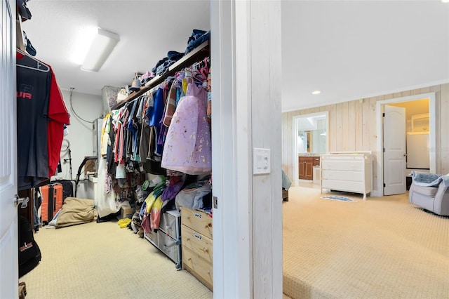 walk in closet featuring carpet flooring