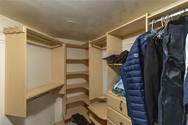 view of spacious closet