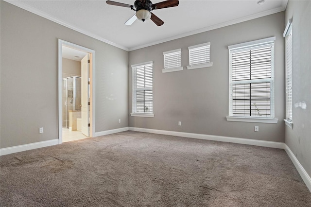 unfurnished room featuring ornamental molding, ceiling fan, a wealth of natural light, and carpet flooring