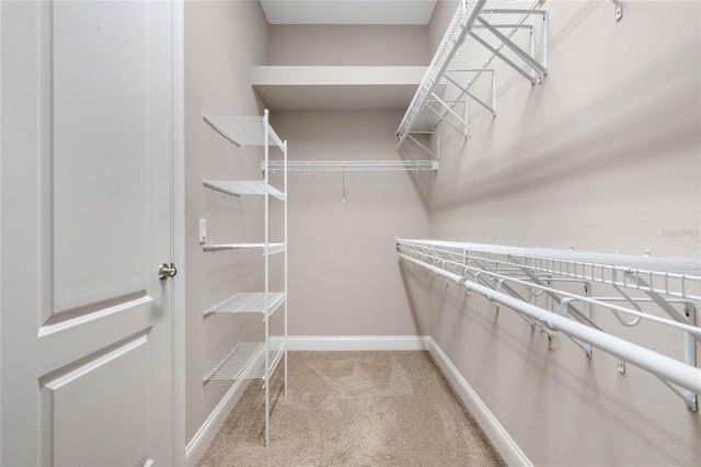 walk in closet with light carpet