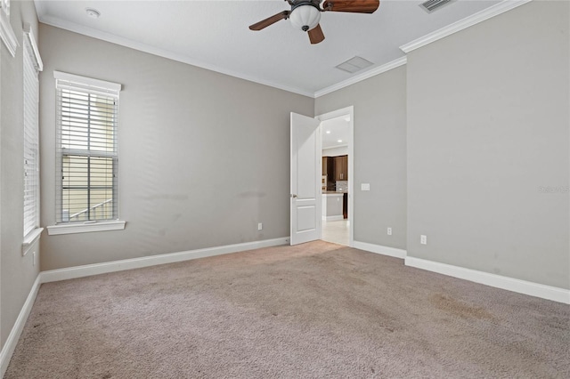 unfurnished room with crown molding, ceiling fan, and carpet floors