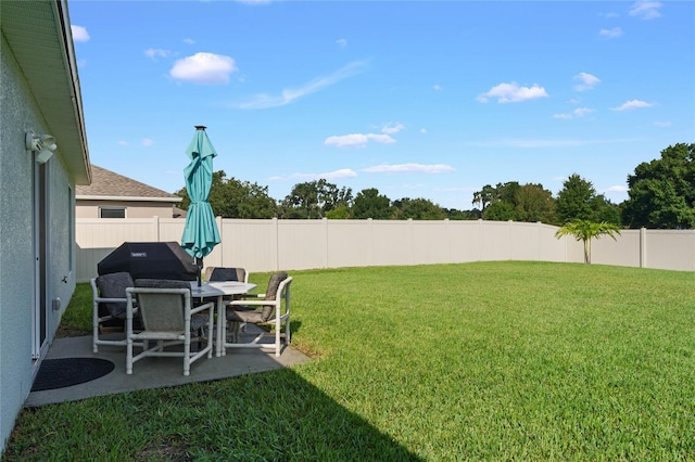 view of yard featuring a patio area