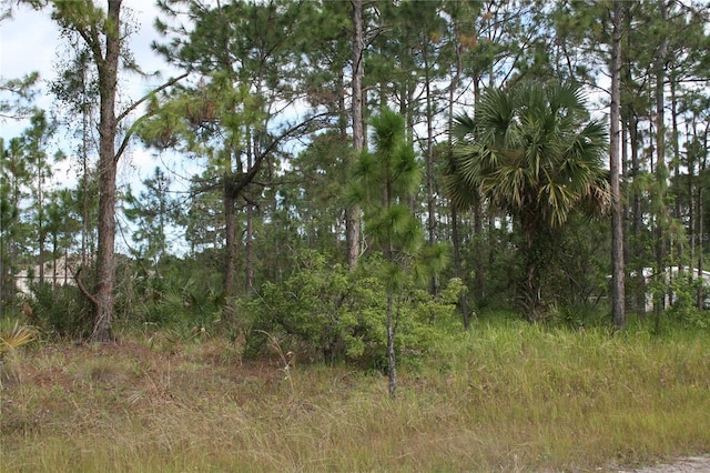 LOT167 NW 57th Ave, Ocala FL, 34482 land for sale