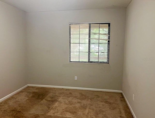 spare room with carpet flooring