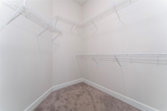 220 Bergamot Loop, Davenport, FL 33837 - walk in closet with carpet floors