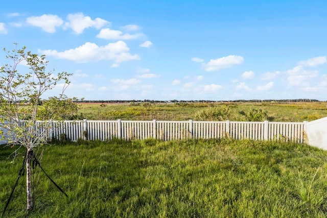 view of yard featuring a rural view