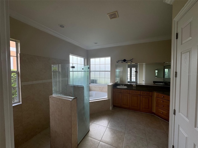 bathroom featuring vanity, separate shower and tub, and a wealth of natural light