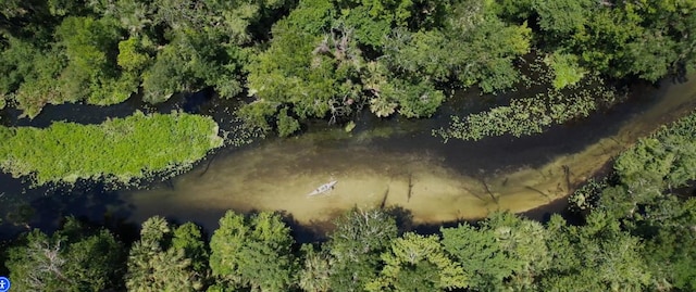 aerial view featuring a forest view