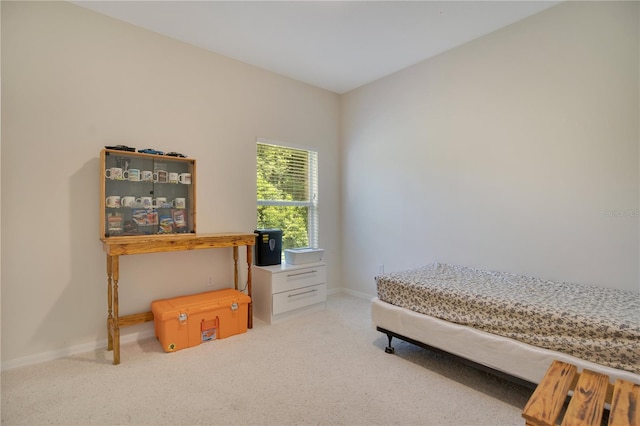 bedroom featuring carpet floors