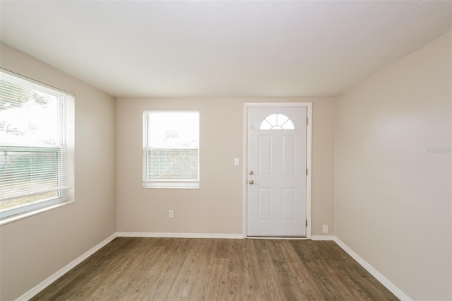 foyer entrance featuring wood-type flooring and a healthy amount of sunlight