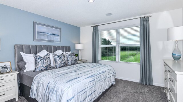 195 River Front Way, Edgewater, FL 32141 - bedroom with dark carpet and baseboards