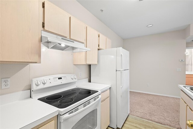 12904 Sanctuary Cove Dr Unit 301, Temple Terrace, FL 33637 - photo 16