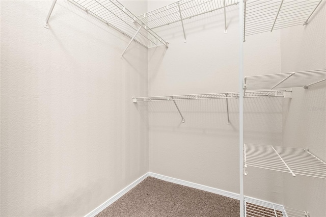 walk in closet featuring carpet flooring