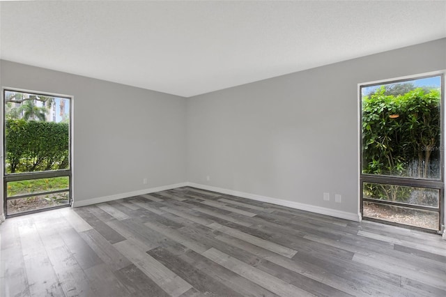 empty room with hardwood / wood-style floors