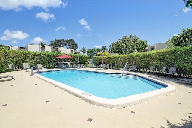 view of swimming pool with a patio