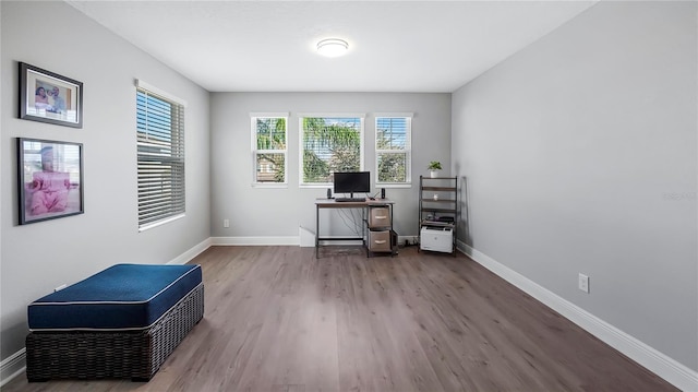 office with hardwood / wood-style flooring and plenty of natural light