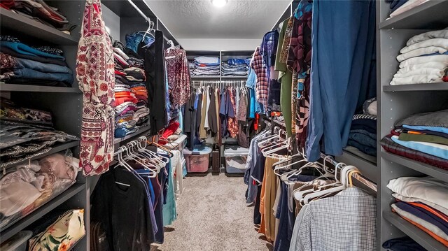 spacious closet featuring carpet floors