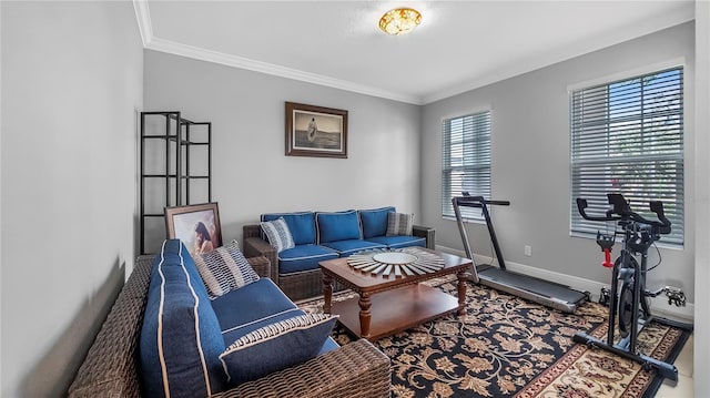 living room with ornamental molding