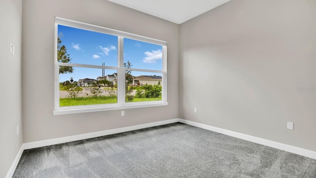 carpeted spare room with a wealth of natural light