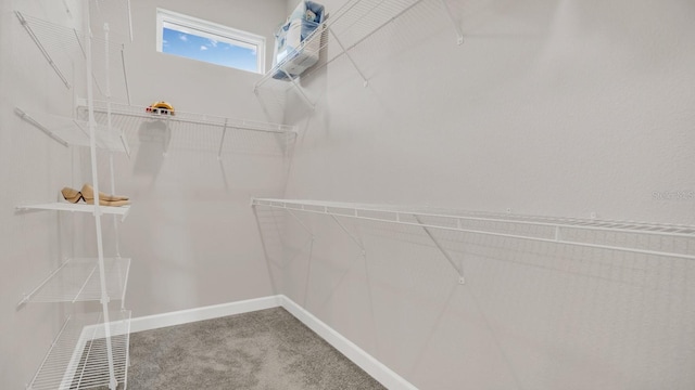 spacious closet with carpet floors