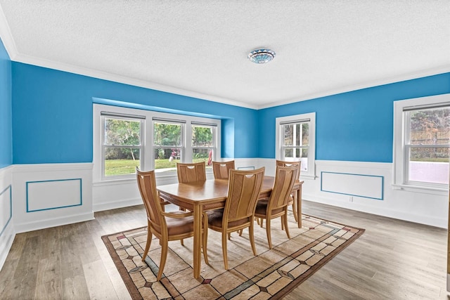 dining area with wood-type flooring, a textured ceiling, and crown molding