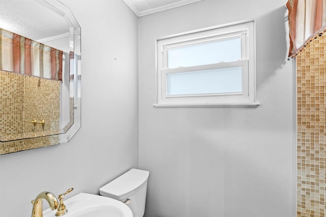 bathroom featuring a textured ceiling, sink, crown molding, and toilet