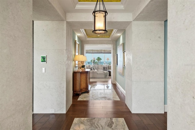 hallway with ornamental molding, a raised ceiling, and dark hardwood / wood-style flooring