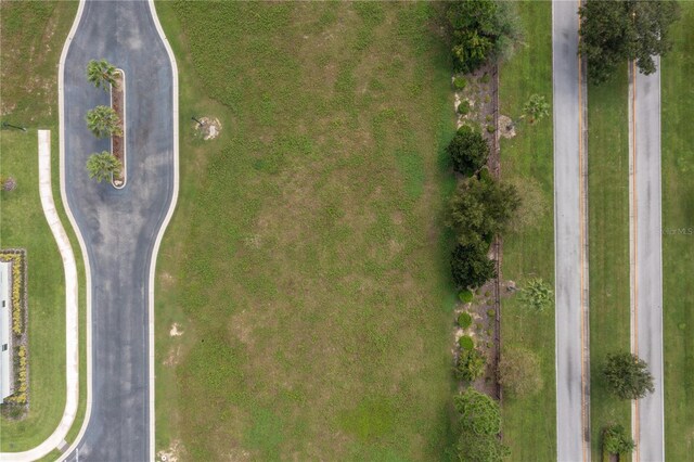 243 Blazing Star Ave, Lake Alfred, FL 33850 - photo 8