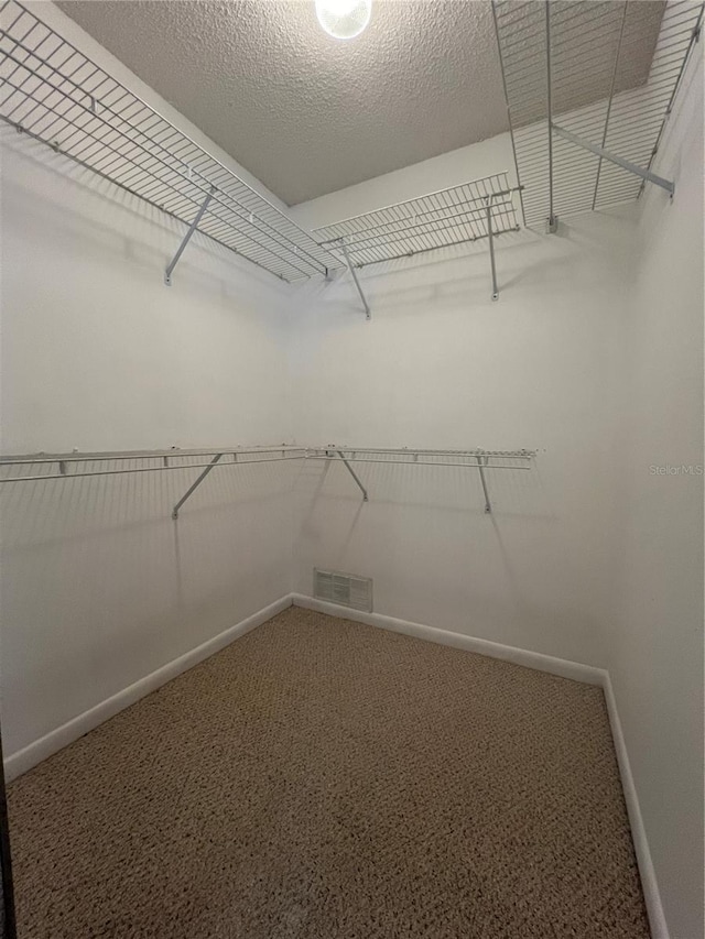 spacious closet featuring carpet