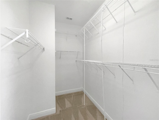 walk in closet with carpet flooring