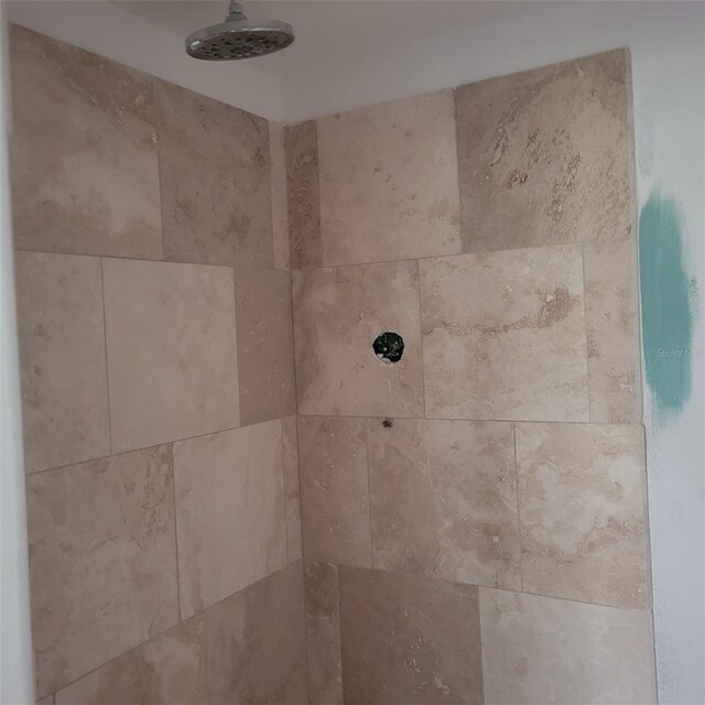 room details with tiled shower