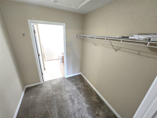 walk in closet with carpet floors