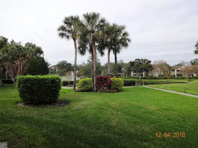 view of community featuring a yard