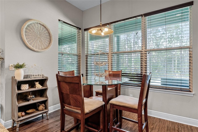 dining space featuring wood-type flooring