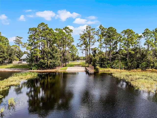 property view of water