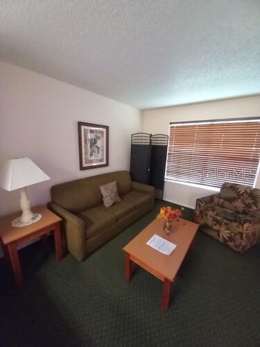 carpeted living room featuring a textured ceiling